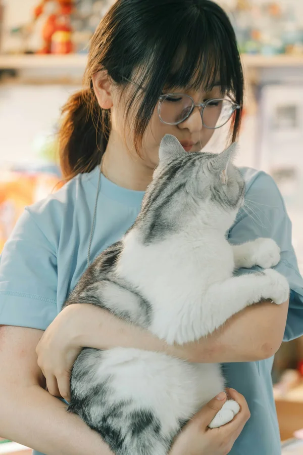 SEO per Medici e Veterinari: posizionarsi su Google Maps e SERP