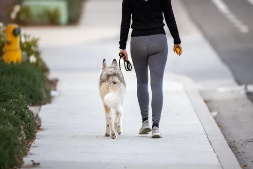 Una persona a passeggio con il proprio cane lungo il marciapiede del quartiere